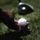 Federación Madrileña de Golf: Todo lo que necesitas saber sobre el golf en Madrid