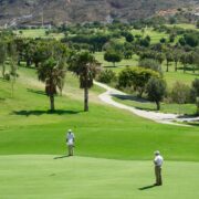 Descubre el encanto de Olazabal Golf: Un paraíso para los amantes del golf en España